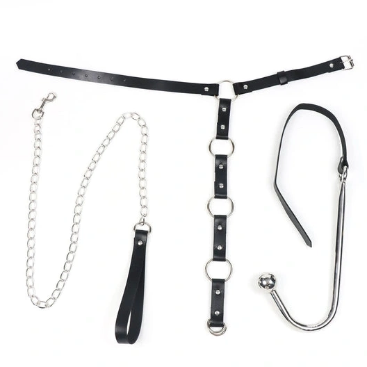 Anal Hooks and Leash Anal EverydayUse Hook Kinky 5853 with Collar 0205